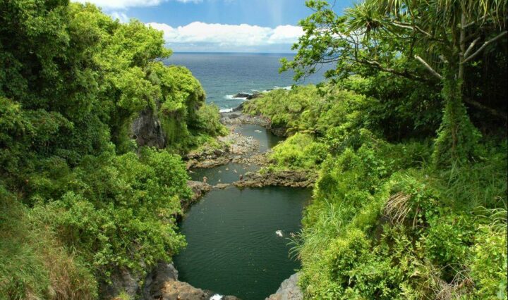 Oheo Gulch Източен Мауи Хавай с малък вход, който се свързва с морето с буйни зелени дървета и растителност, заобикаляща входа