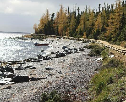 igolet boardwalk along the coast edge to the left of it with pine forest to the right