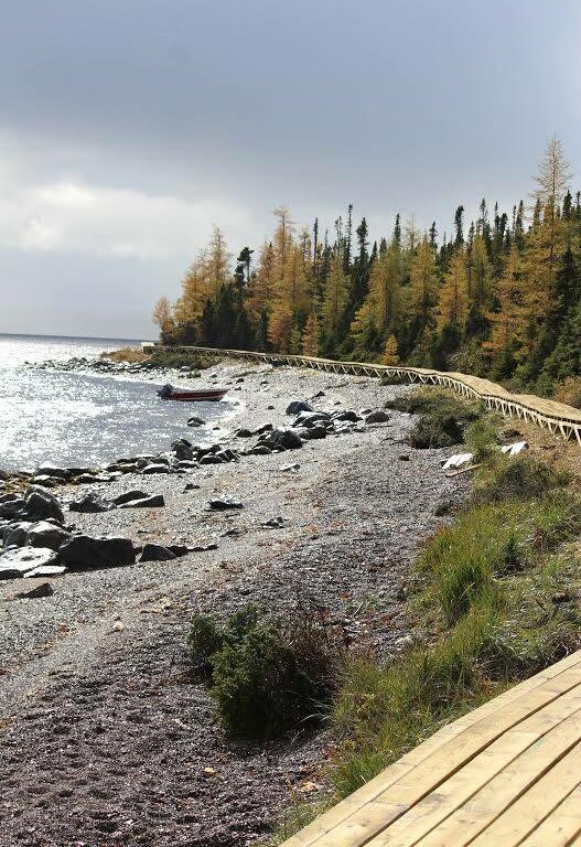 igolet boardwalk along the coast edge to the left of it with pine forest to the right