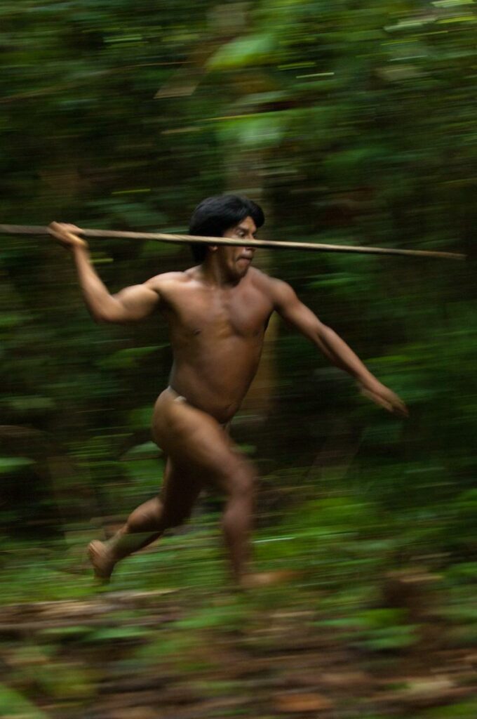 The men of the Huaorani tribe of Ecuador also hunt jungle creatures using spears