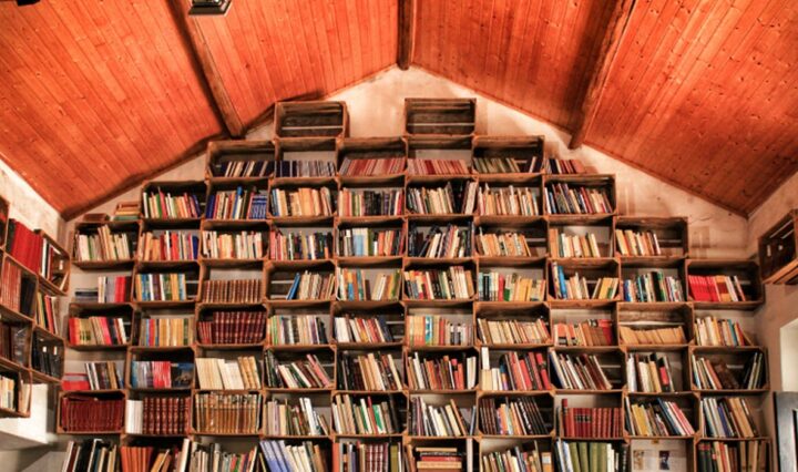 reol på væggen fyldt med bøger
