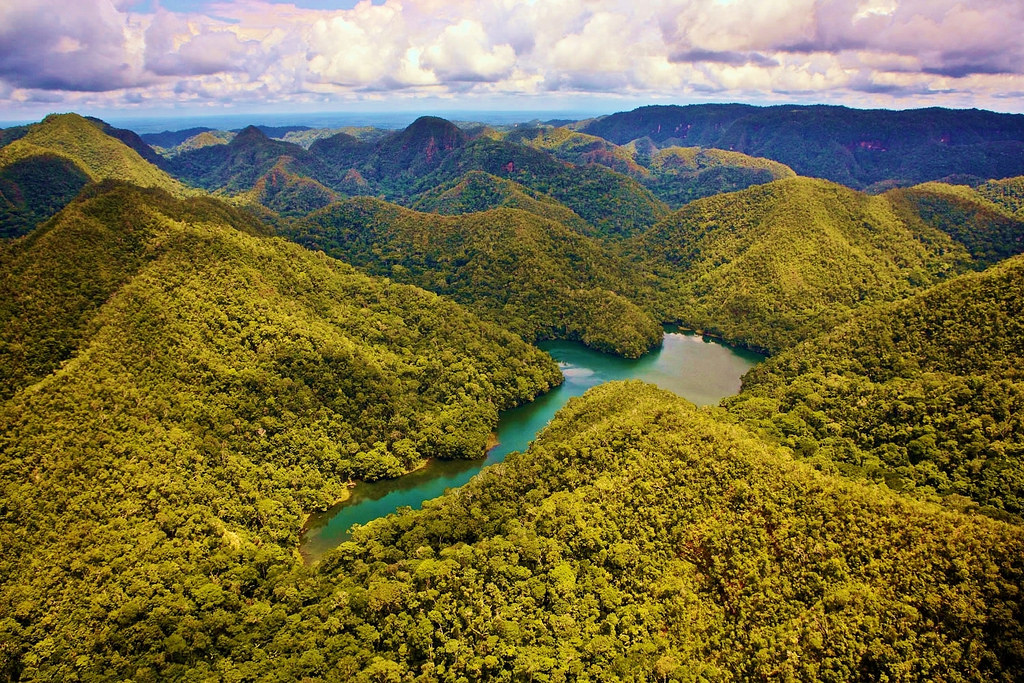 Amazon rainforest biodiversity