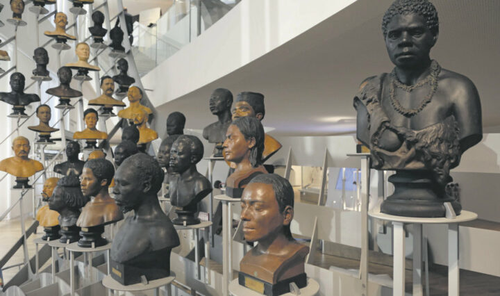 Антропологични бюстове от Musée de l'Homme (Музей на човечеството), Париж.