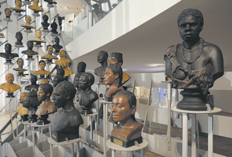 Anthropological busts from the Musée de l'Homme (Museum of Mankind), Paris.