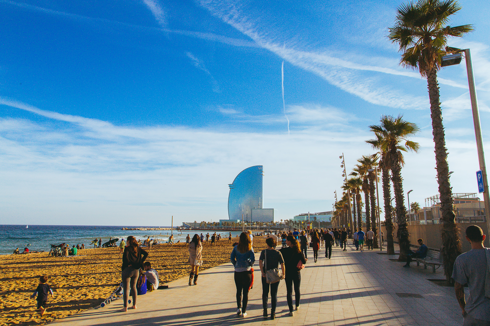 La Barceloneta, along with palm trees and one of the sandy beach