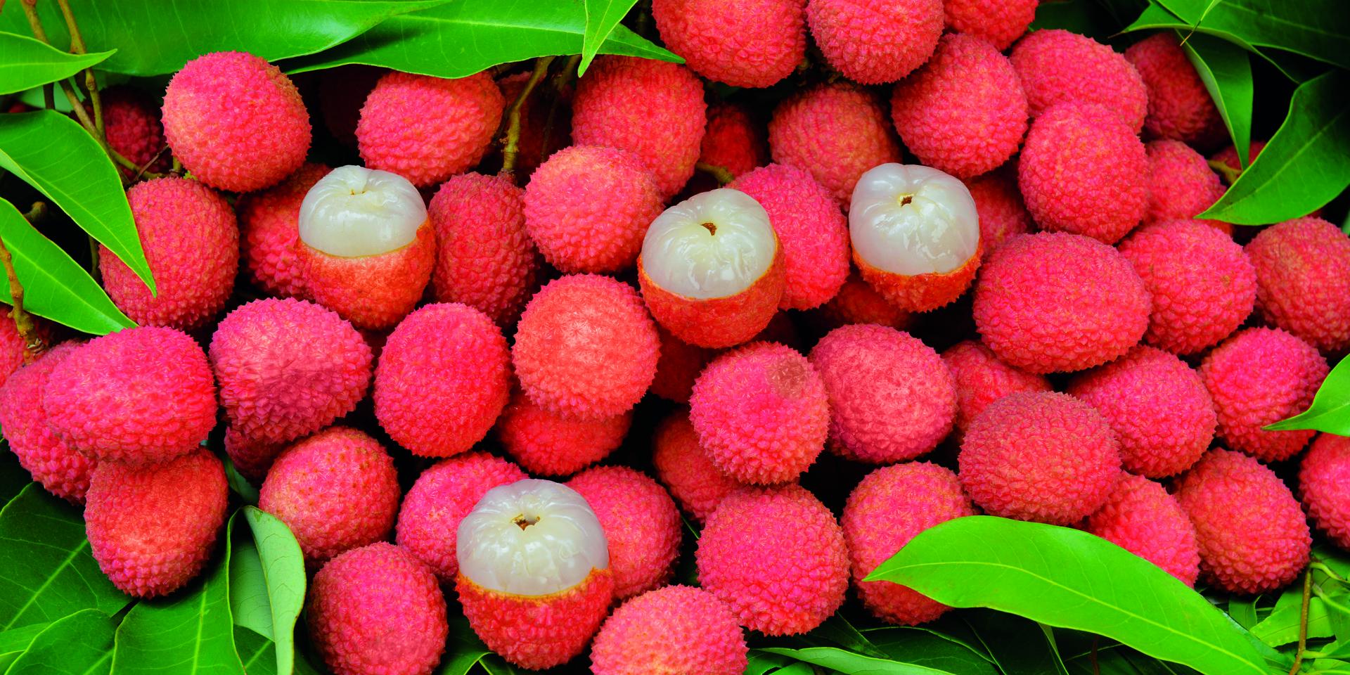 Lychee from Reunion