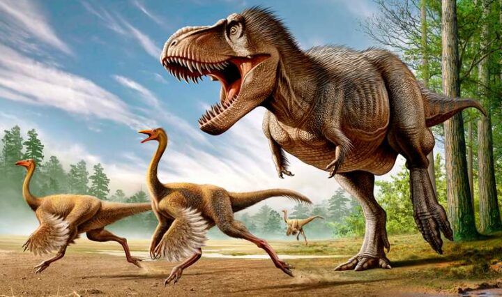 A painting of a tyrannosaurus rex chasing two smaller theropod dinosaurs in an open plain
