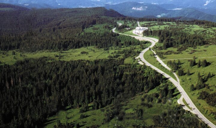 The Black Road Ridgeway running through the Black Forest, with green hills and evergreen trees on either side.
