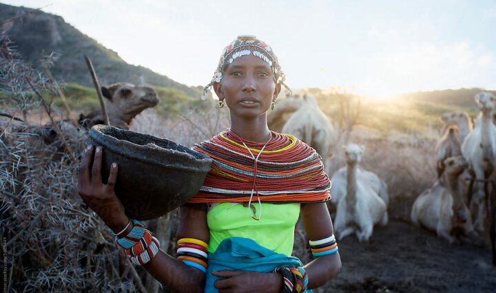 Samburu ქალები, რომლებსაც რძის კონა აქვთ