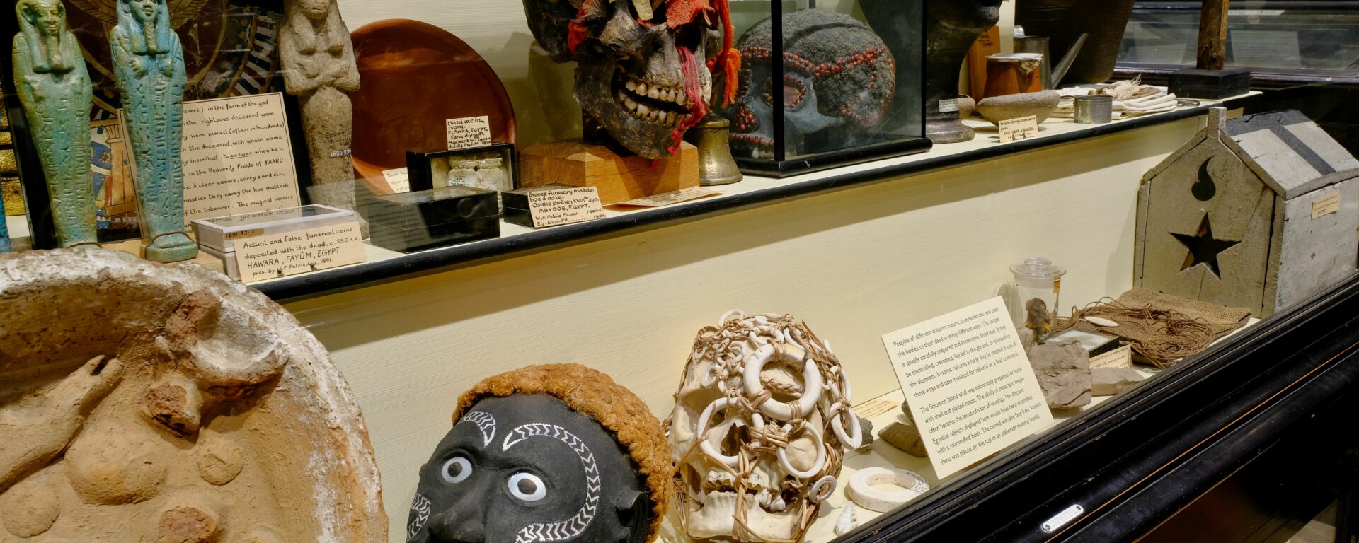 Pitt Rivers skulls
