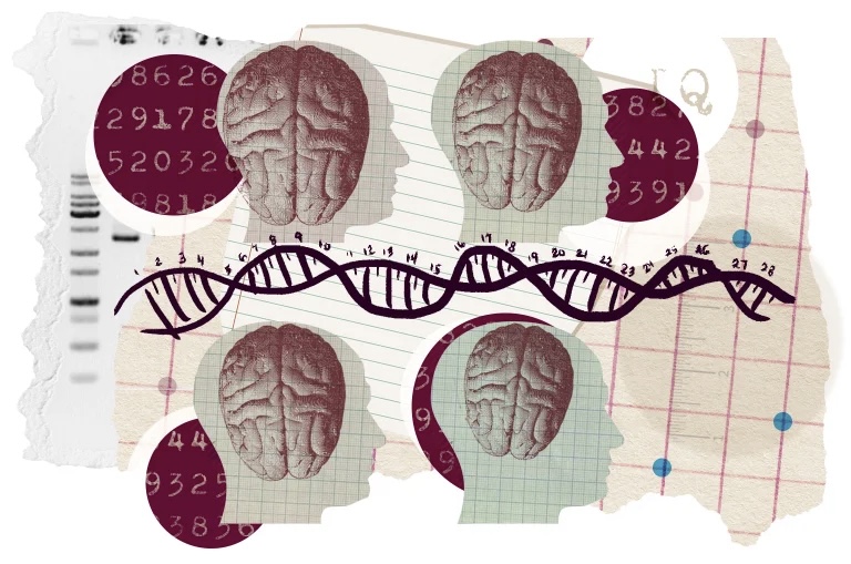 Scrapbogstilbillede af udskæringer lagdelt på hinanden på en uordnet måde, der repræsenterer hjernen og DNA