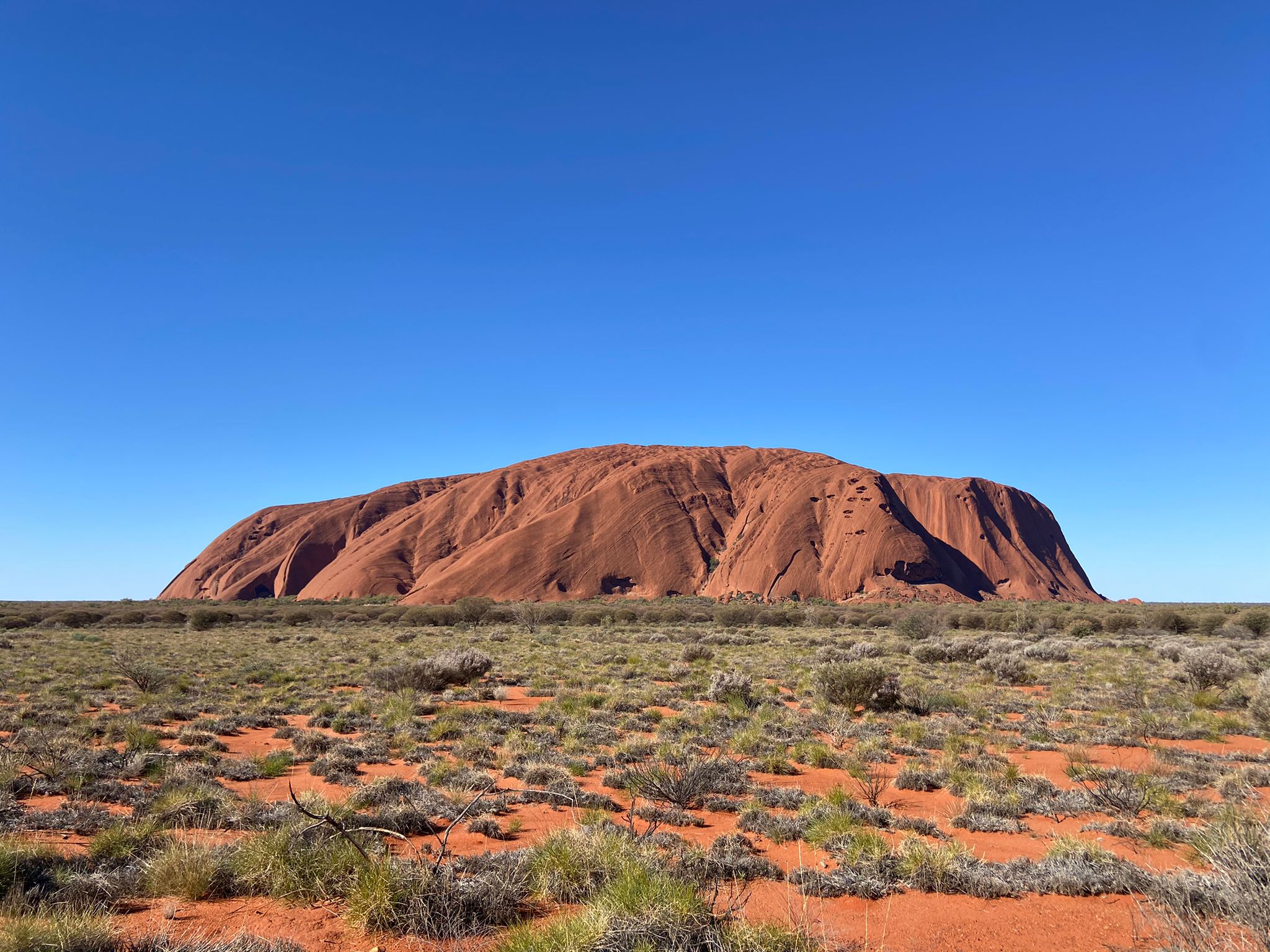 A landscape view of Uluru during the day with red sand and scattered green bushes in front of it