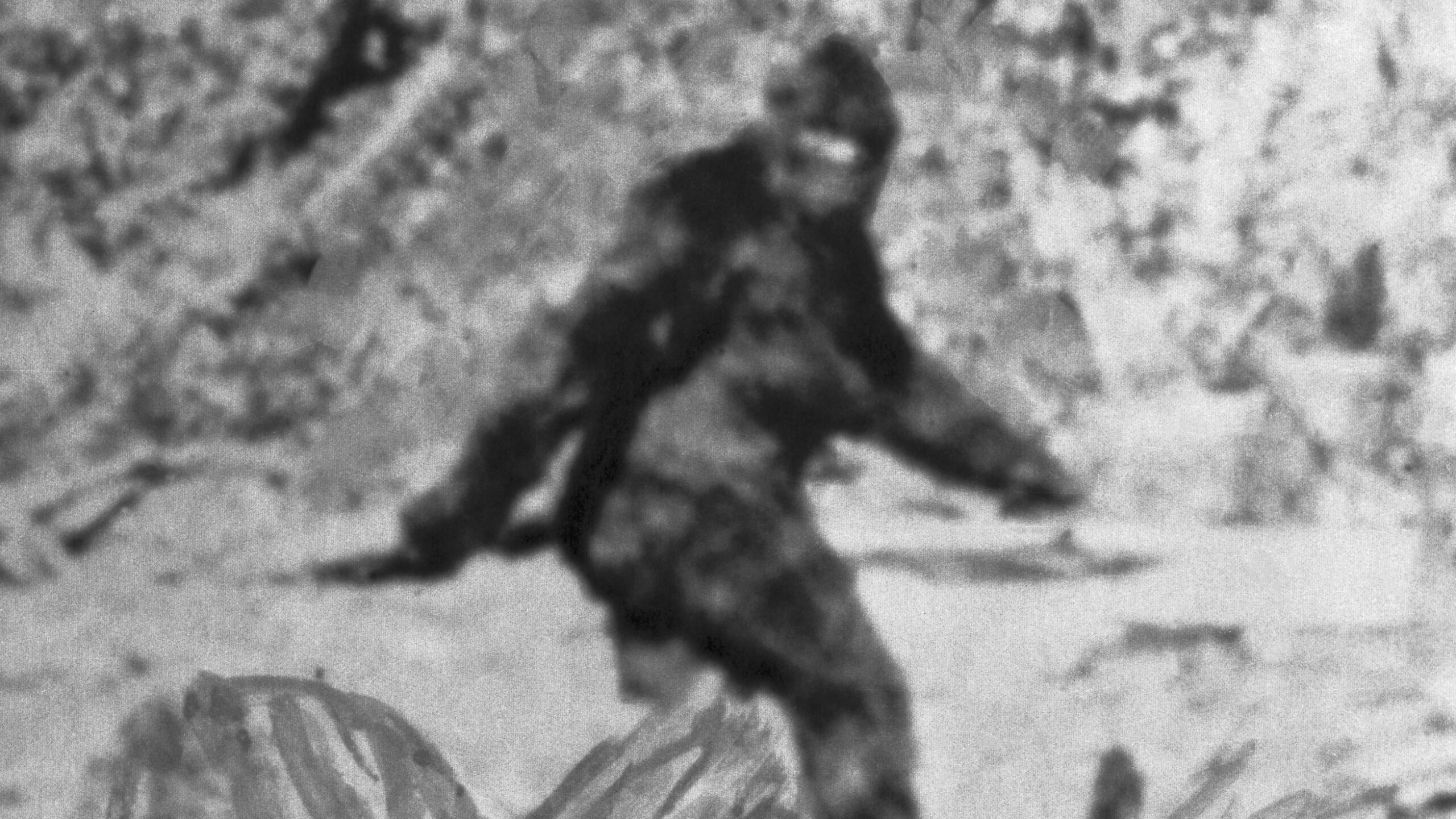 Mest berømte billede af Bigfoot