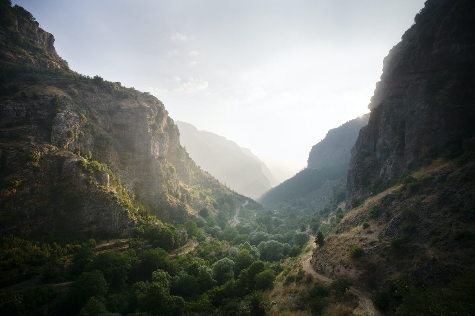 A picture of the Lebanese mountains.