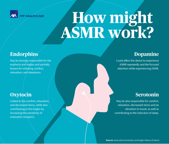 Hvordan fungerer ASMR?