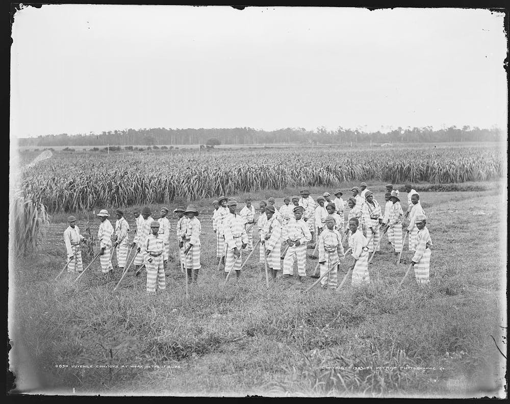 Incarcerated men working in fields.
