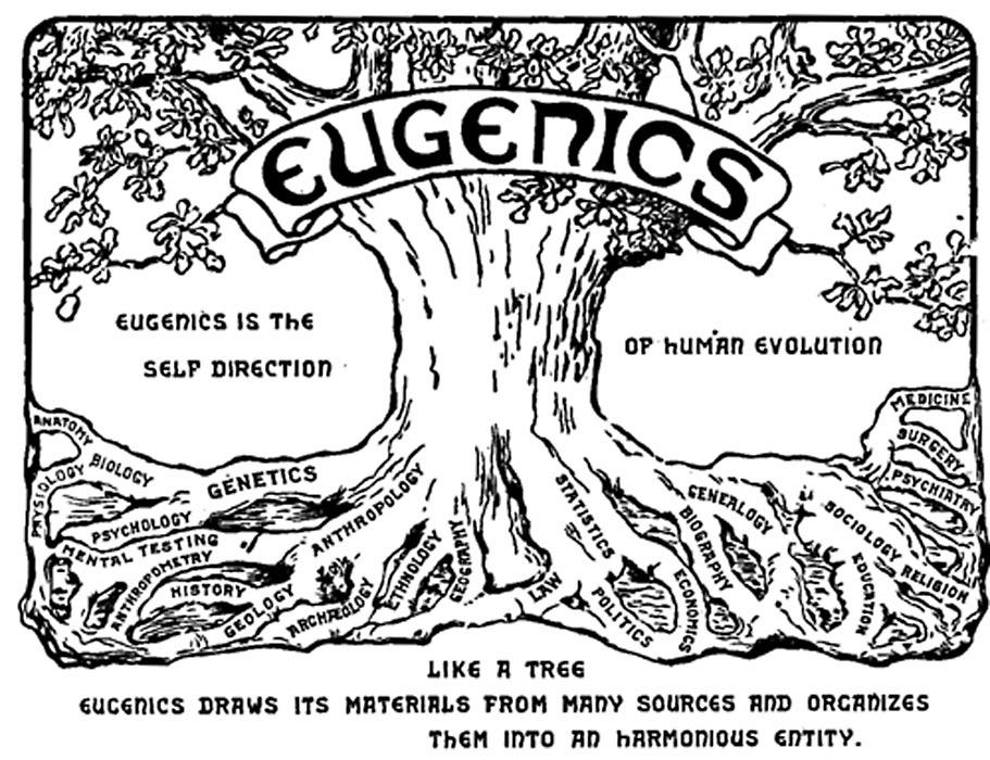 a black and white picture of a tree on which "eugenics" and " eugenics is the self direction of human evolution" write, with additional words scattered on the roots of the tree 