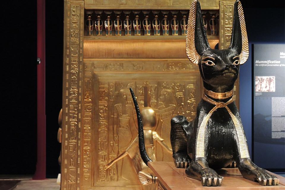 კატების თაყვანისცემა ეგვიპტეში