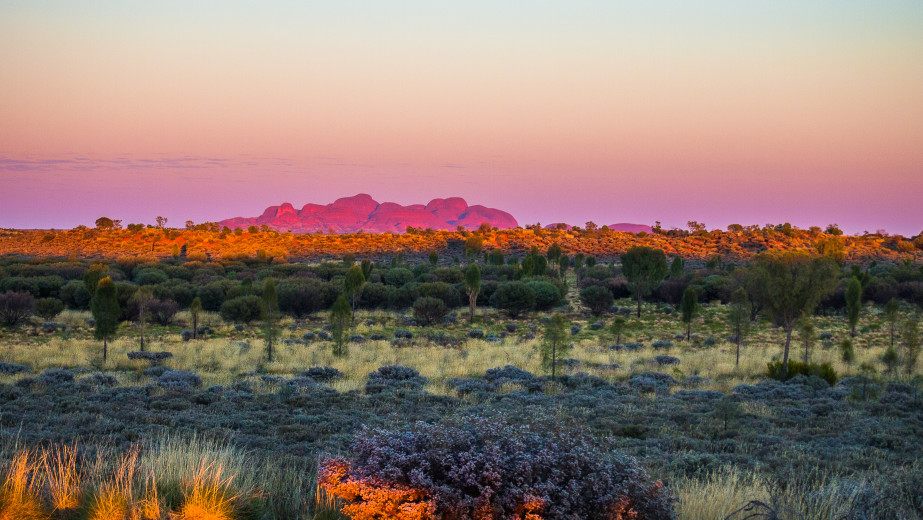 Den australske ørken ved solnedgang, med klippeformationer i det fjerne og buskekrat nedenunder