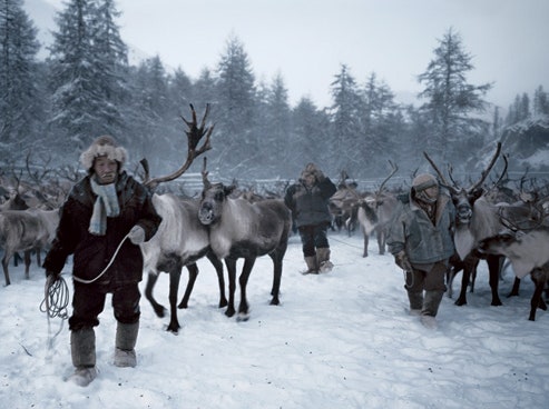 Een Yukaghir-jager hoedt elanden door de sneeuw in de traditionele jachtpraktijken van hun clan
