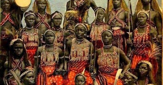 The Dahomey Warriors