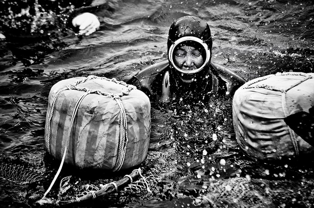black and white image of a sea woman who has just resurfaced the ocean with her harvest boxes
