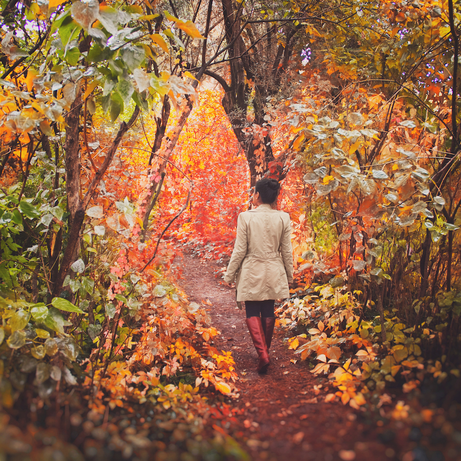 Woman walking through forest in autumn.
