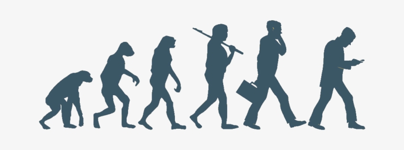 ადამიანის ევოლუცია