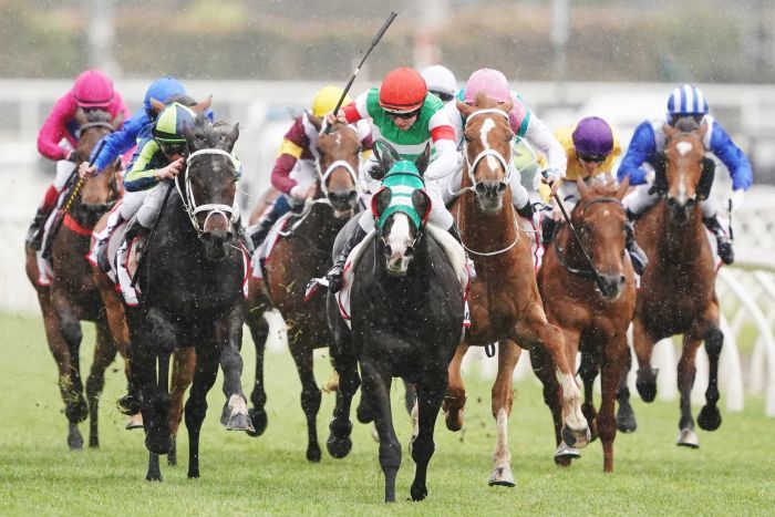 Front-view shot of jockeys riding their horses at the Melbourne Cup. The leading jockey at the front raises his whip in preparation of hitting the horse.