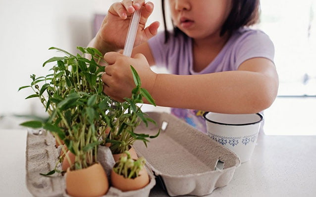 Малко дете използва празни яйчени черупки за засаждане на растения