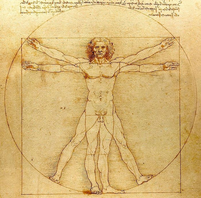 Leonardo da Vinci arbejde