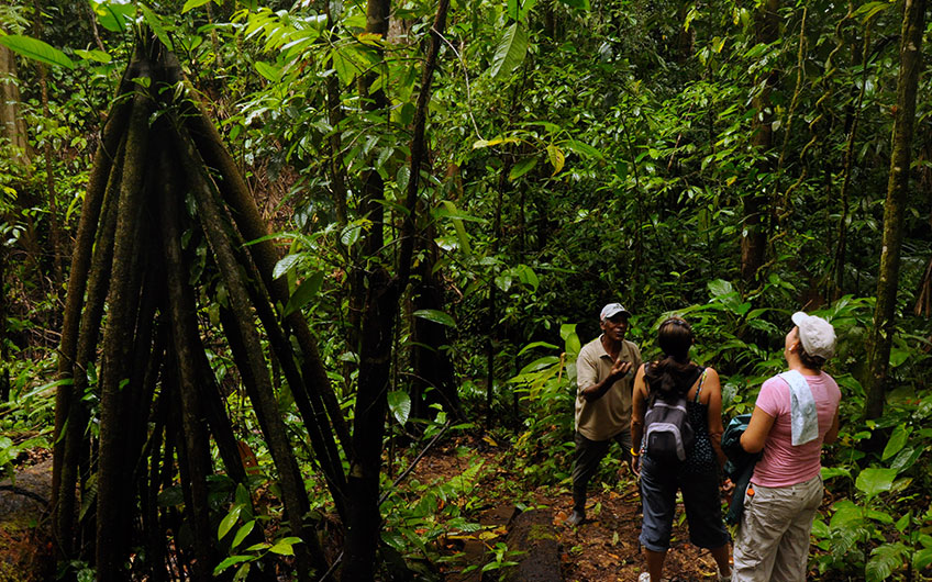 Местен водач разговаря с двама туристи в тропическите гори