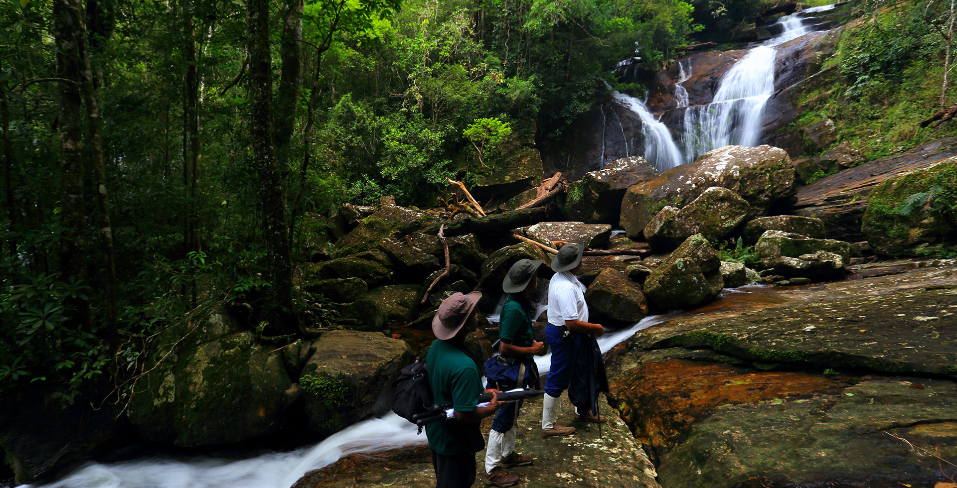 Tourists walk up some rocks leading to a small waterfall