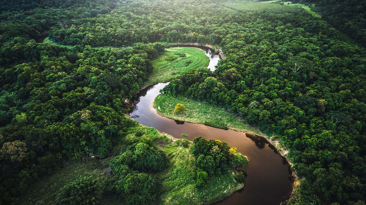 Кадр от птичи поглед на река Амазонка с гъста дървесна покривка от двете страни