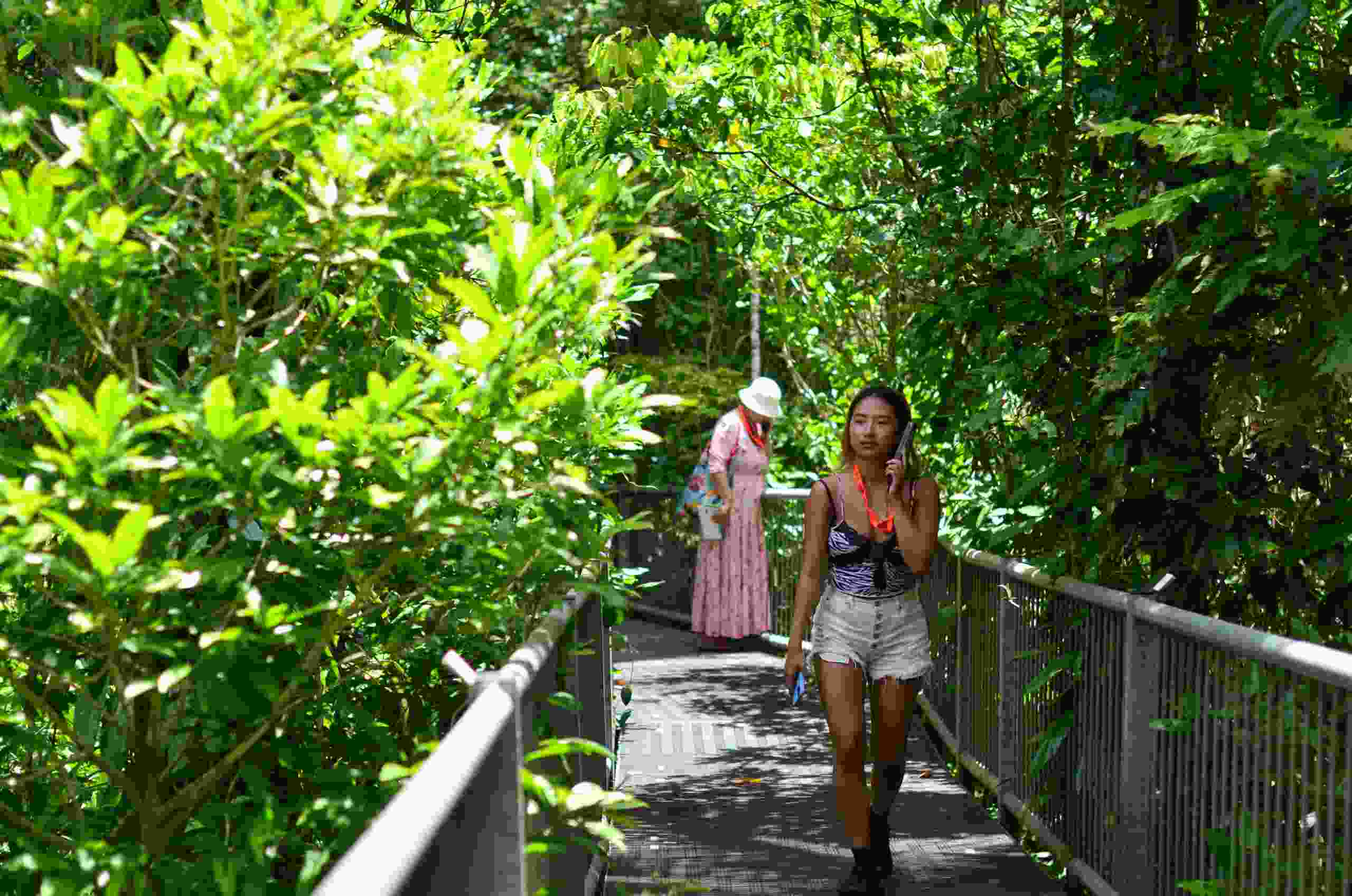 Момиче, което върви по разходка на върха на тропическите гори, държи аудиогид до ухото си