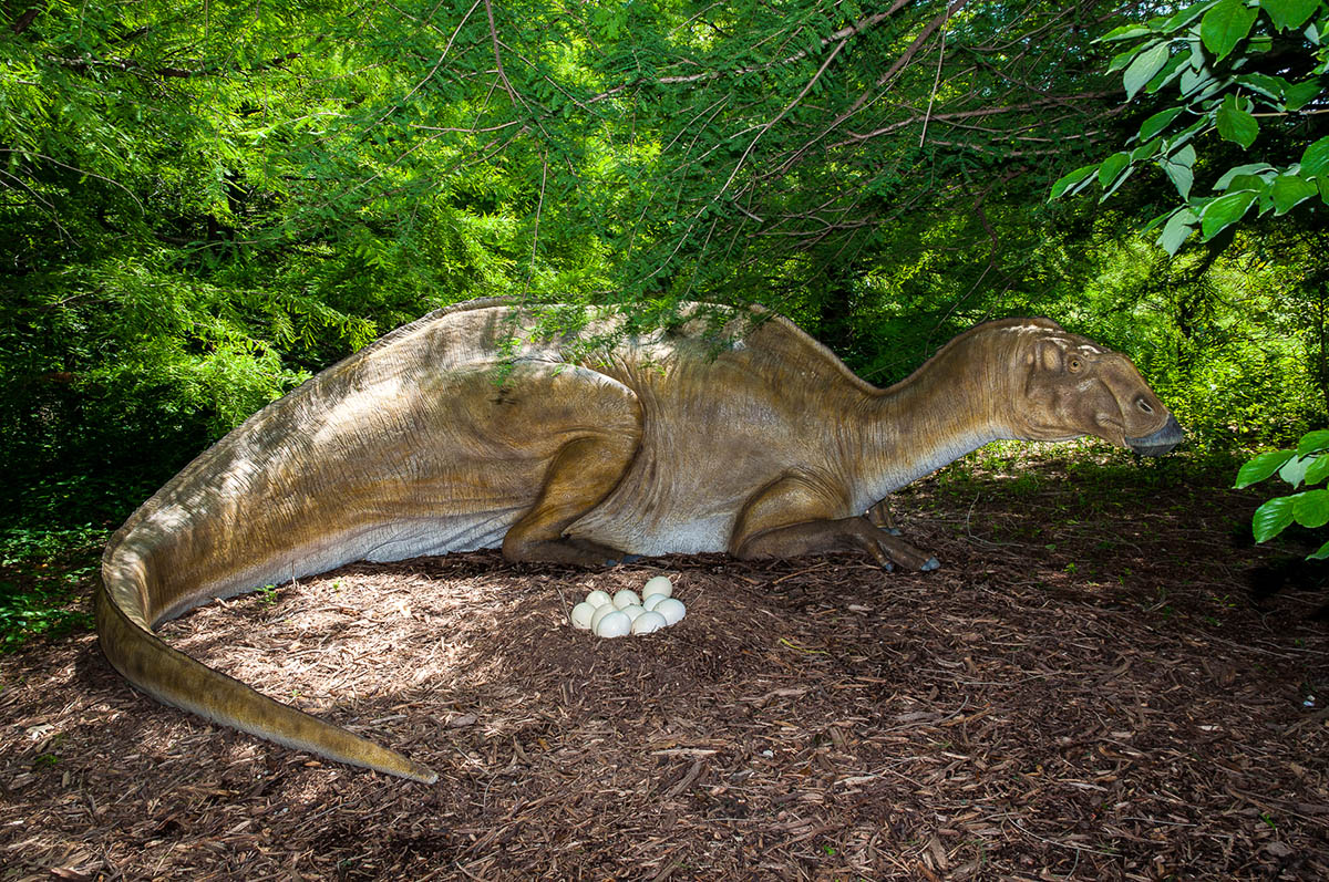 model of the parrosaurus missouriensis