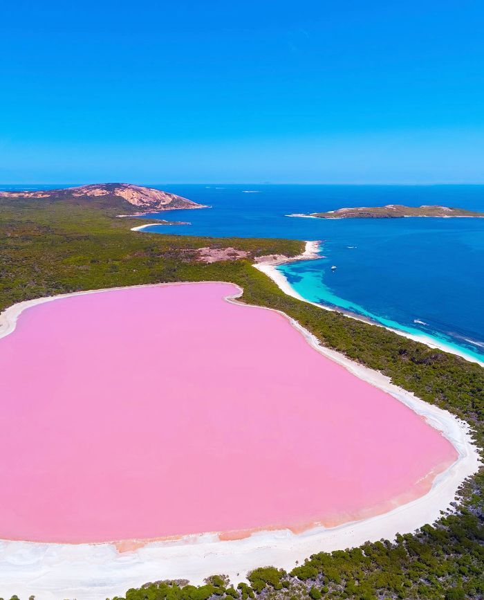 An aerial image of the Pink Lake in Australia when it is baby-pink, contrasted next to the blue ocean on the other side of the green lake bank. 