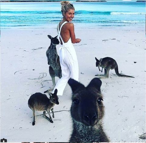 A woman walks along the shoreline of the beach on the white sand in Lucky Bay, Australia, surrounded by four kangaroos. 