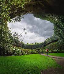 The Umpherston sinkhole in Australia with a view looking up into the opening of the sky.