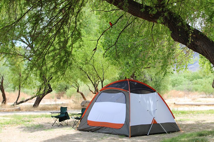 Camping at Big Bend