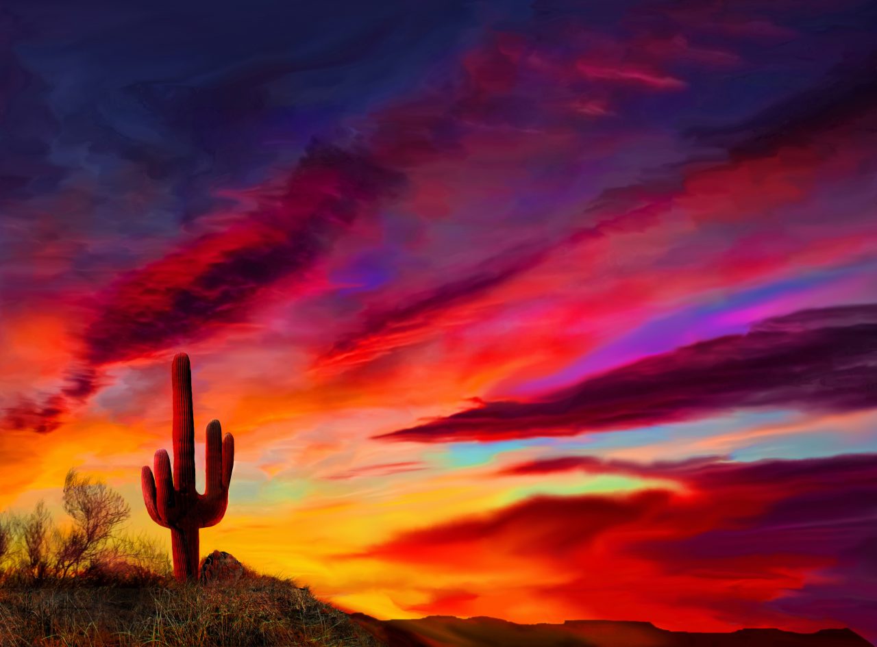 saguaro cactus backdrop of sunset