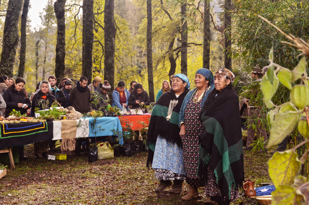 Femeile Mapuche participând la o ceremonie tradițională