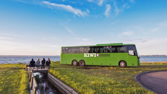 Kiwi Experiences ავტობუსები და მისი საოცარი ტურები