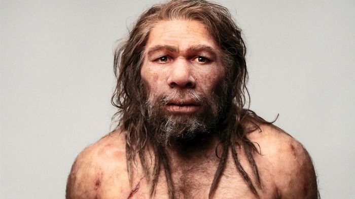Homo Neanderthalensis primatfamilier