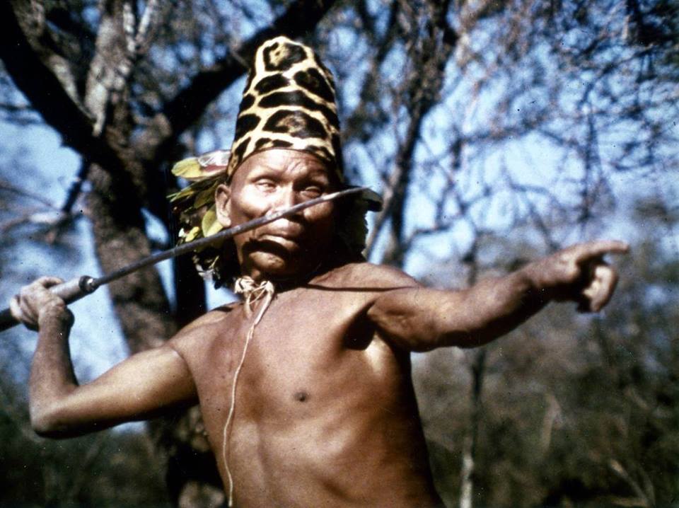 Ayoreo tribe, uncontacted people like the Sentinelese
