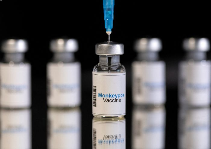 Vacciner