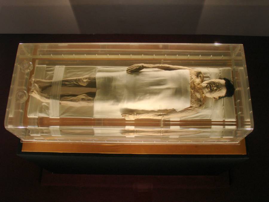 Lady Dai's preserved body.
