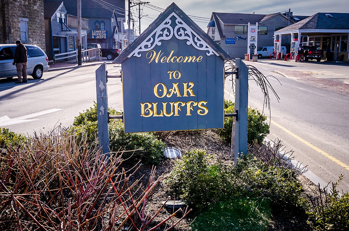 Et foto af et blåt og hvidt skilt med guldtekst med teksten "Welcome to Oak Bluffs" omgivet af skub på en gade.