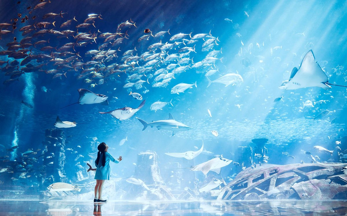 The Lost Chambers of Atlantis Aquarium
