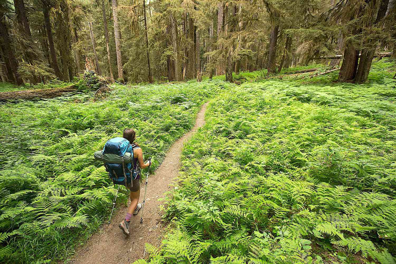 Image shows a hiker walking along a trail.